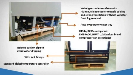 R290 Double Glass Door Upright Refrigerated Showcase Drinks and Beverages Cooler Glass Door Merchandiser
